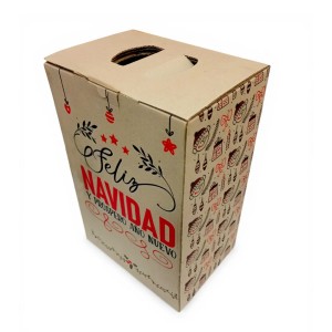 CAJA NAVIDEÑA CARTON x 1u